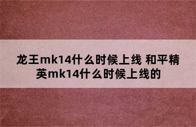 龙王mk14什么时候上线 和平精英mk14什么时候上线的